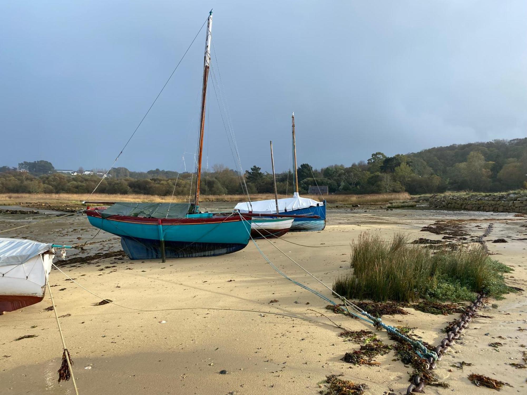 L'appel De La Bretagne Bleuenn * Lannion